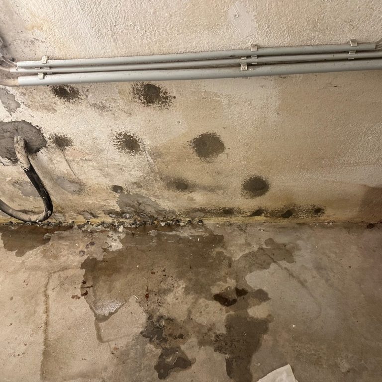 Druckwasserabdichtung bei Schimmelbefall